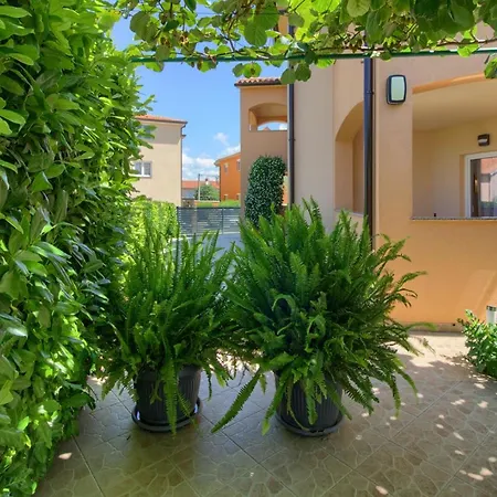 Charming Petroro With Pool, 900m From The
